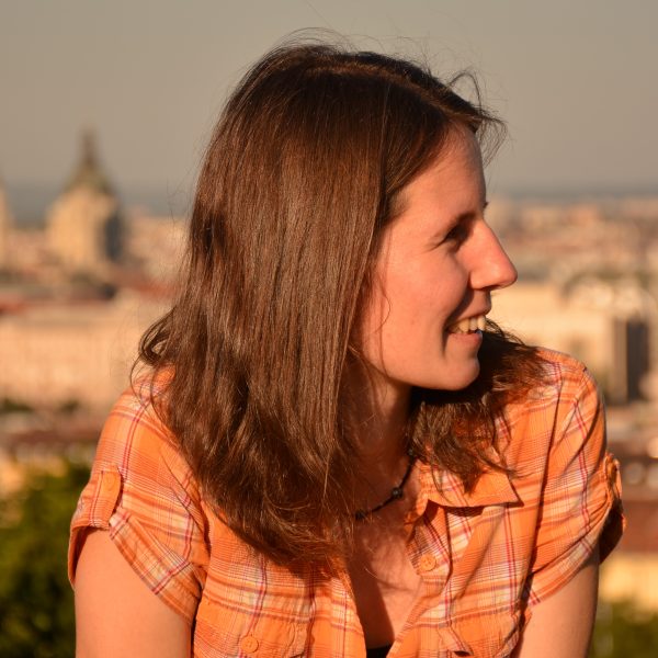 Szupervizor szakember